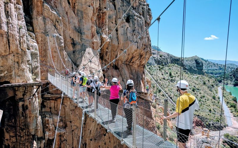 path-of-the-king-2542056_1280